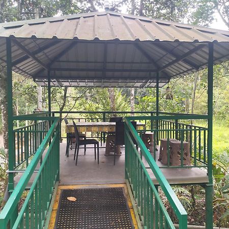 Vibgyor Homes Munnar Luaran gambar